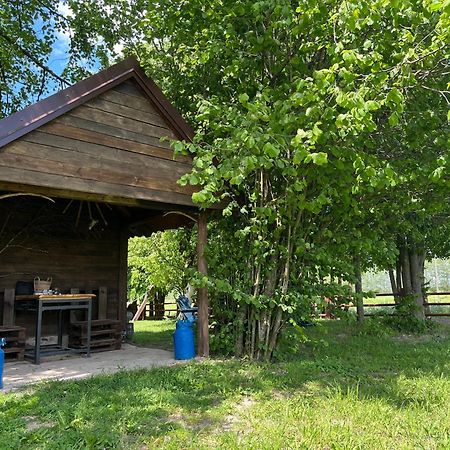 Villa Zakatek Lipowy - Turystyka Stulichy Węgorzewo Exterior foto